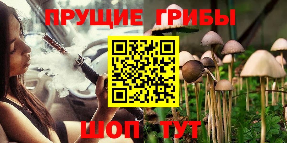 Галлюциногенные грибы Cubensis Белая Калитва