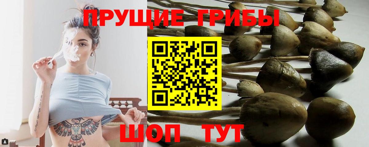 Галлюциногенные грибы Magic Shrooms  Вход с VPN  Белая Калитва 
